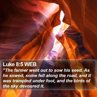 Luke 8:5 WEB Bible Verse Image