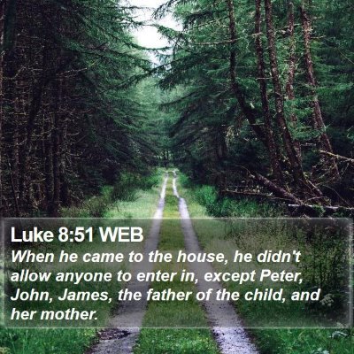 Luke 8:51 WEB Bible Verse Image
