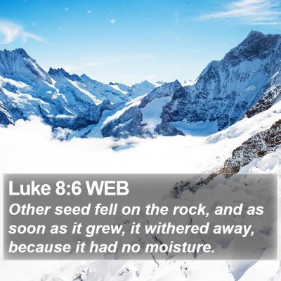 Luke 8:6 WEB Bible Verse Image