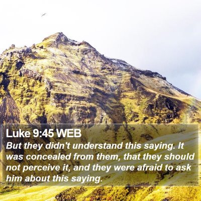 Luke 9:45 WEB Bible Verse Image