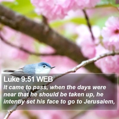 Luke 9:51 WEB Bible Verse Image