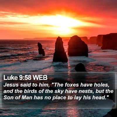 Luke 9:58 WEB Bible Verse Image