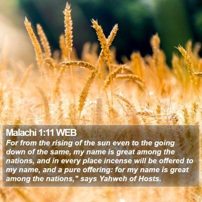 Malachi 1:11 WEB Bible Verse Image