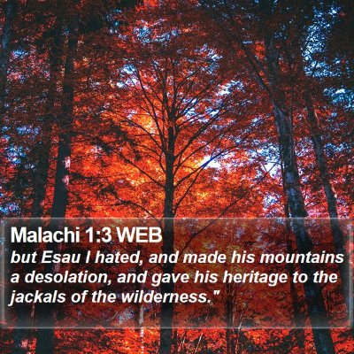 Malachi 1:3 WEB Bible Verse Image