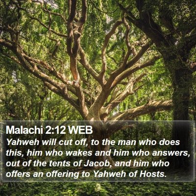 Malachi 2:12 WEB Bible Verse Image