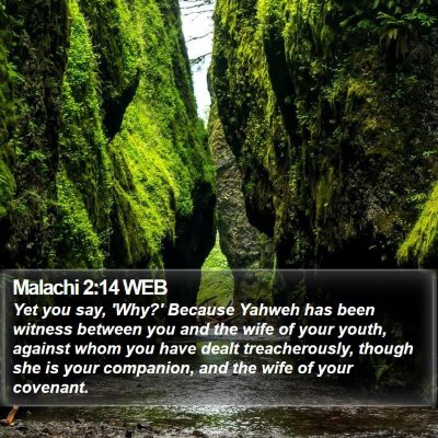 Malachi 2:14 WEB Bible Verse Image