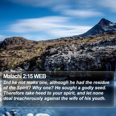 Malachi 2:15 WEB Bible Verse Image