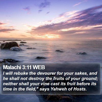 Malachi 3:11 WEB Bible Verse Image