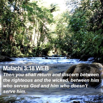 Malachi 3:18 WEB Bible Verse Image