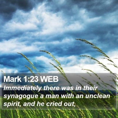 Mark 1:23 WEB Bible Verse Image