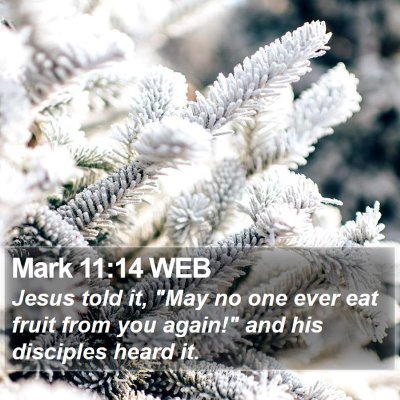 Mark 11:14 WEB Bible Verse Image