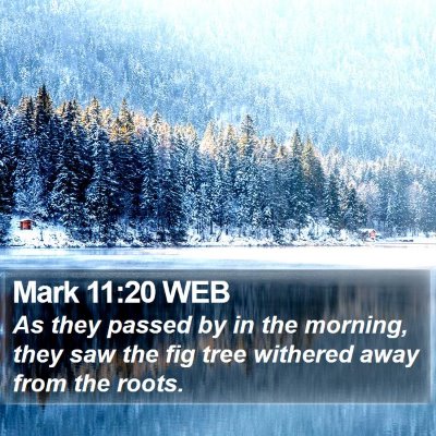 Mark 11:20 WEB Bible Verse Image