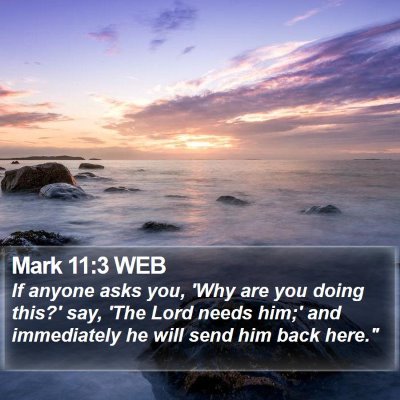 Mark 11:3 WEB Bible Verse Image