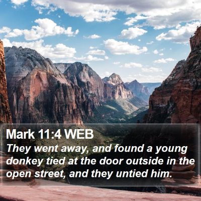 Mark 11:4 WEB Bible Verse Image