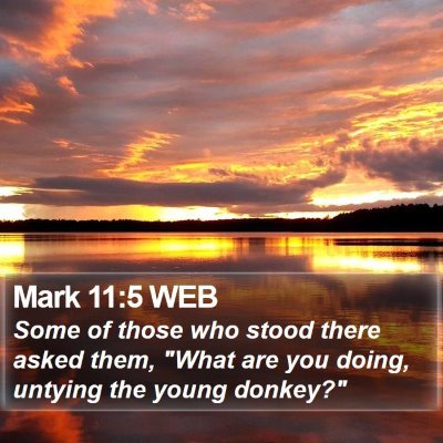 Mark 11:5 WEB Bible Verse Image