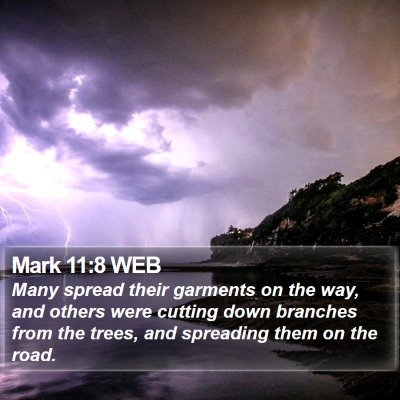 Mark 11:8 WEB Bible Verse Image