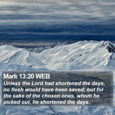 Mark 13:20 WEB Bible Verse Image