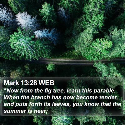 Mark 13:28 WEB Bible Verse Image