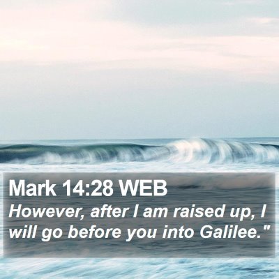 Mark 14:28 WEB Bible Verse Image