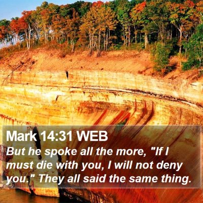 Mark 14:31 WEB Bible Verse Image