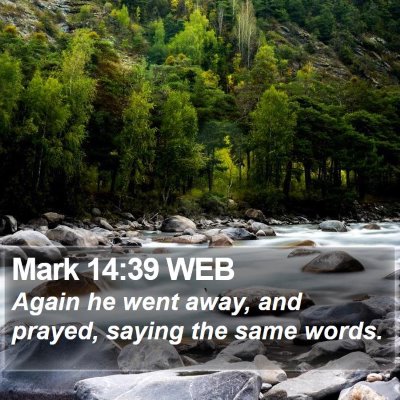 Mark 14:39 WEB Bible Verse Image