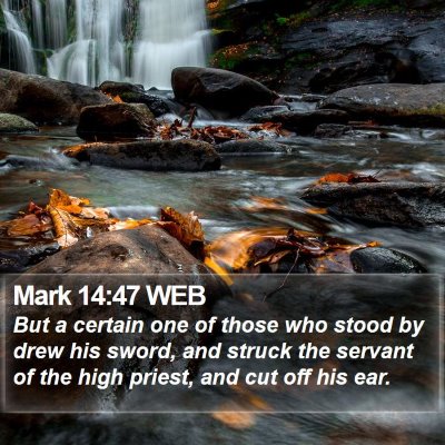 Mark 14:47 WEB Bible Verse Image
