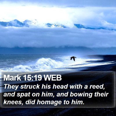 Mark 15:19 WEB Bible Verse Image