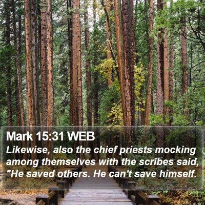 Mark 15:31 WEB Bible Verse Image