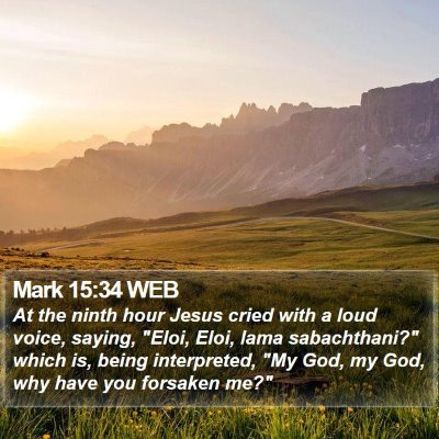 Mark 15:34 WEB Bible Verse Image