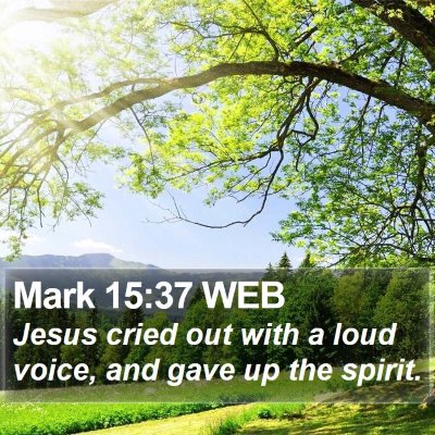 Mark 15:37 WEB Bible Verse Image