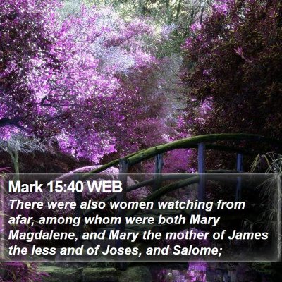 Mark 15:40 WEB Bible Verse Image