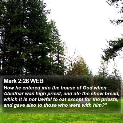 Mark 2:26 WEB Bible Verse Image