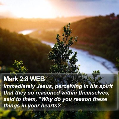Mark 2:8 WEB Bible Verse Image