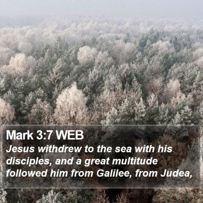 Mark 3:7 WEB Bible Verse Image
