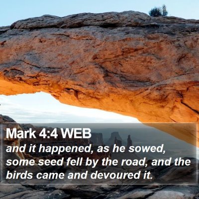 Mark 4:4 WEB Bible Verse Image