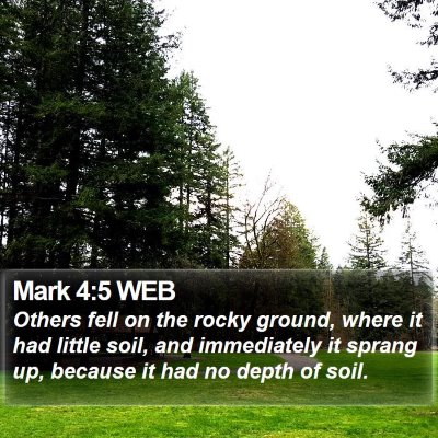 Mark 4:5 WEB Bible Verse Image