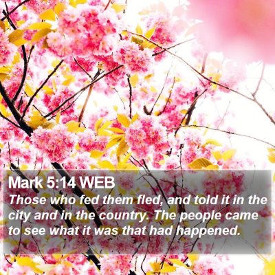 Mark 5:14 WEB Bible Verse Image