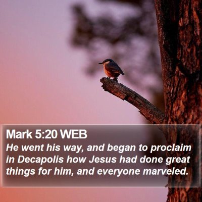 Mark 5:20 WEB Bible Verse Image