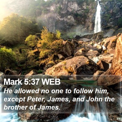 Mark 5:37 WEB Bible Verse Image