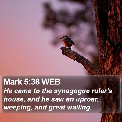 Mark 5:38 WEB Bible Verse Image