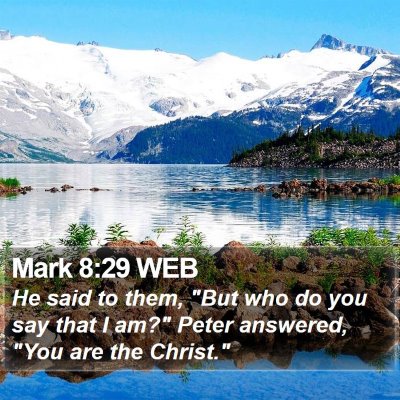 Mark 8:29 WEB Bible Verse Image