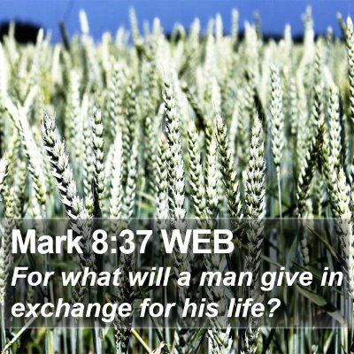 Mark 8:37 WEB Bible Verse Image