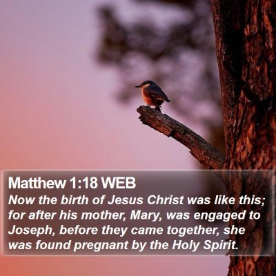 Matthew 1:18 WEB Bible Verse Image