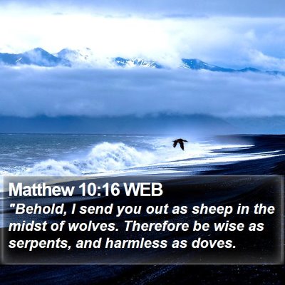 Matthew 10:16 WEB Bible Verse Image