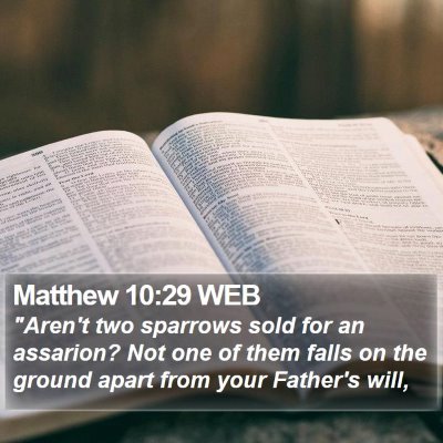 Matthew 10:29 WEB Bible Verse Image
