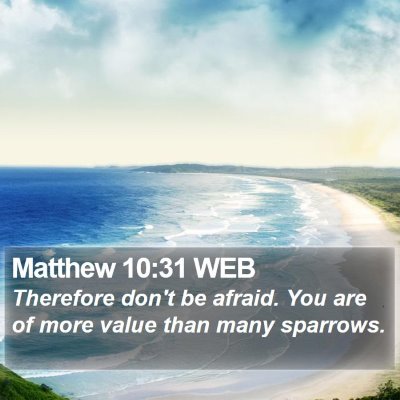Matthew 10:31 WEB Bible Verse Image