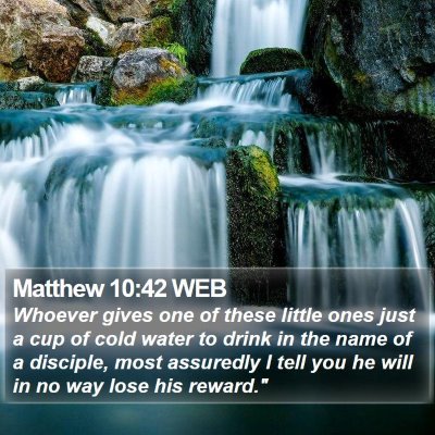 Matthew 10:42 WEB Bible Verse Image