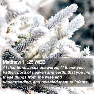 Matthew 11:25 WEB Bible Verse Image