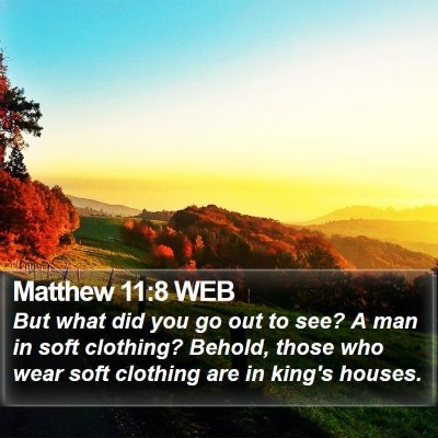 Matthew 11:8 WEB Bible Verse Image