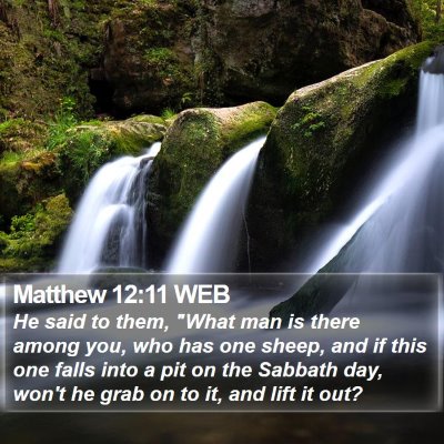 Matthew 12:11 WEB Bible Verse Image